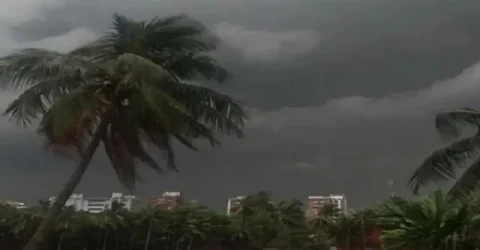 পাঁচ বিভাগে বজ্রসহ বৃষ্টির পূর্বাভাস