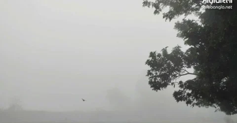 ঢাকার আকাশে ঝলমলে রোদ, অন্যত্র কুয়াশায় ঢাকা