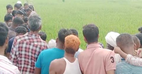 ময়মনসিংহে ধানখেতে পড়ে ছিল মিশুক চালকের মরদেহ