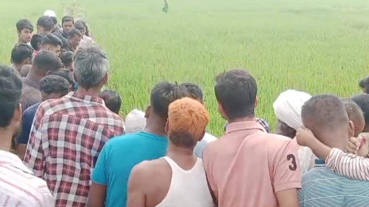 ময়মনসিংহে ধানখেতে পড়ে ছিল মিশুক চালকের মরদেহ