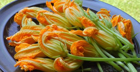 যে ৪ সুপারফুড আমরা না জেনেই ফেলে দিই