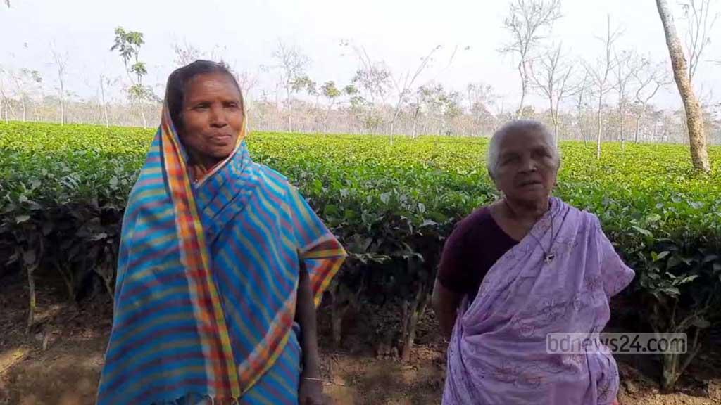 বিপন্ন ভাষা ‘খাড়িয়া’য় কথা বলতে পারেন মাত্র কয়েকজন