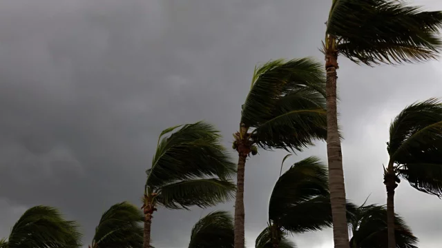 ৯ জেলায় কালবৈশাখীর সতর্কতা