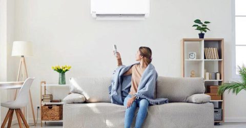 ইনভার্টার নাকি নন-ইনভার্টার কোন এসি কিনবেন?