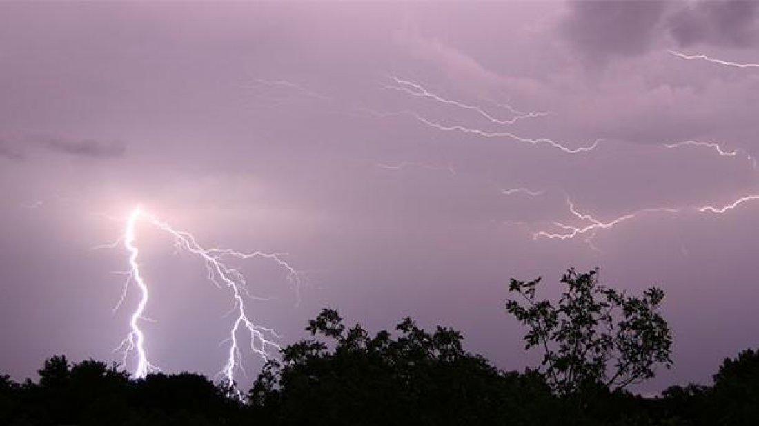 গাছ কাটার সময় বজ্রাঘাতে দিনমজুরের মৃত্যু