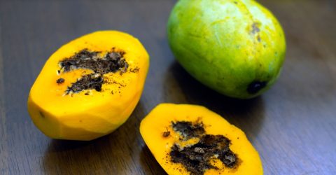 পোকা ধরা ফল খাওয়া যাবে?