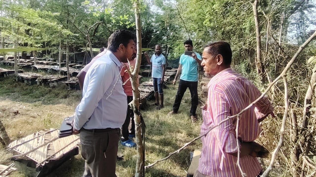 মধুতে চিনি দেয়ায় চাষীকে অর্ধলক্ষ টাকা জরিমানা