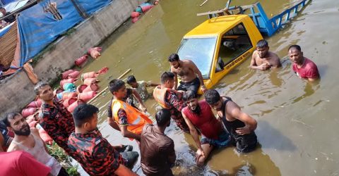 গ্যাস সিলিন্ডারবাহী পিক-আপ উল্টে পুকুরে, প্রাণ গেল কিশোরের