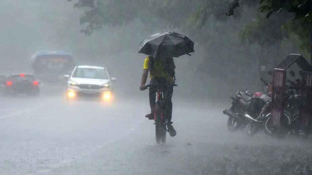 টানা পাঁচদিন মাঝারি থেকে ভারী বৃষ্টির আভাস
