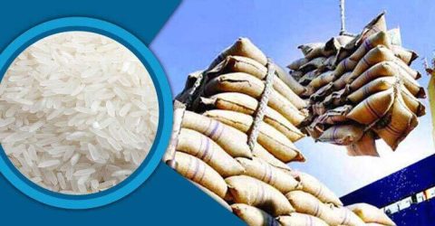 ভিয়েতনাম থেকে এলো সাড়ে ১২ হাজার টন চাল