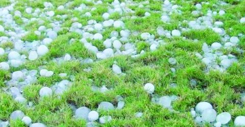 আগামী পাঁচদিন ঝড়-শিলাবৃষ্টির আশঙ্কা