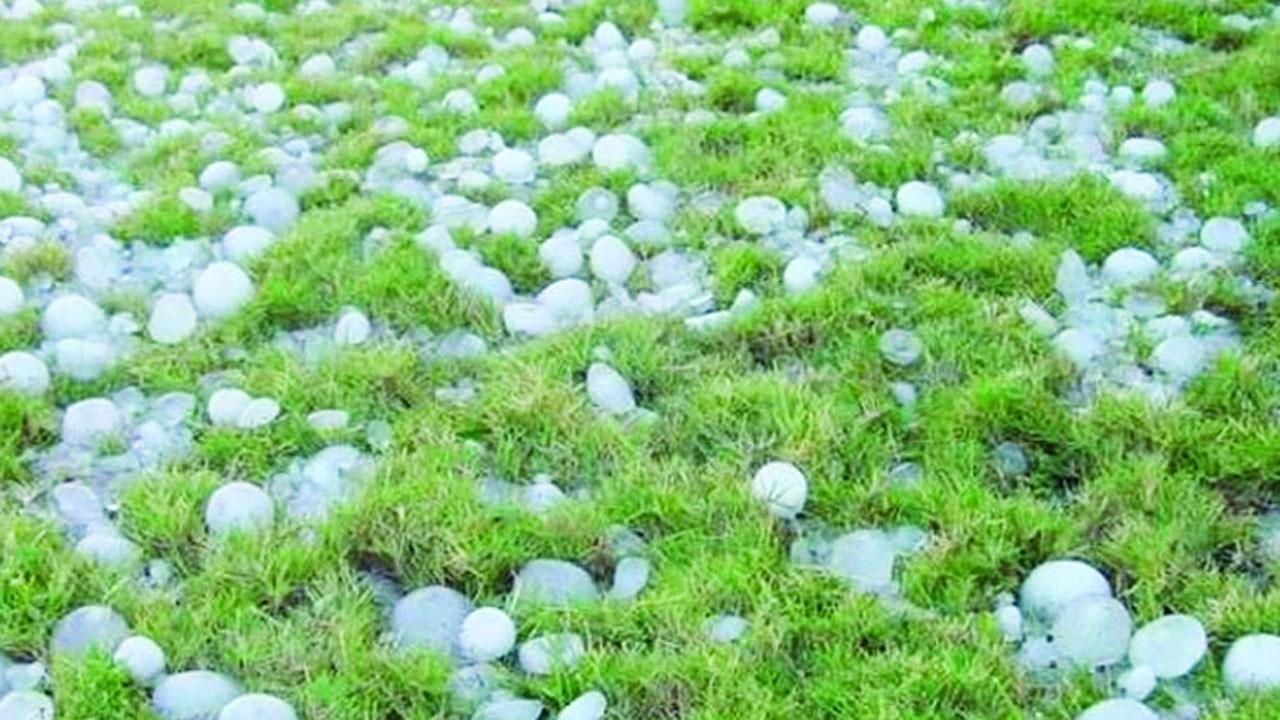 আগামী পাঁচদিন ঝড়-শিলাবৃষ্টির আশঙ্কা