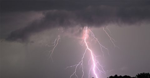 ভারত-নেপালে বজ্রপাতে ৬৯ জনের মৃত্যু