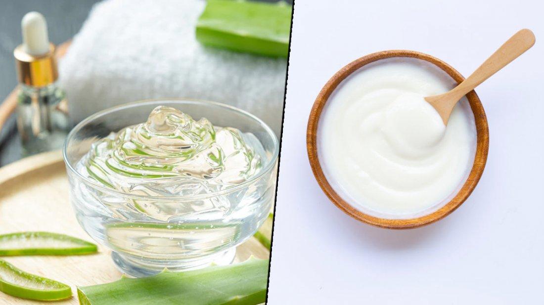 চুল চকচকে করবে অ্যালোভেরার এই প্যাক