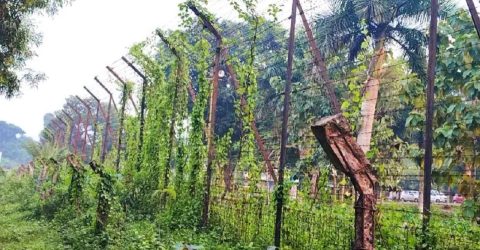ব্রাহ্মণবাড়িয়া সীমান্তে বিএসএফের গুলিতে ২ জন আহত