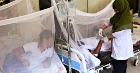 ২৪ ঘণ্টায় ৮৬ ডেঙ্গু রোগী হাসপাতালে ভর্তি