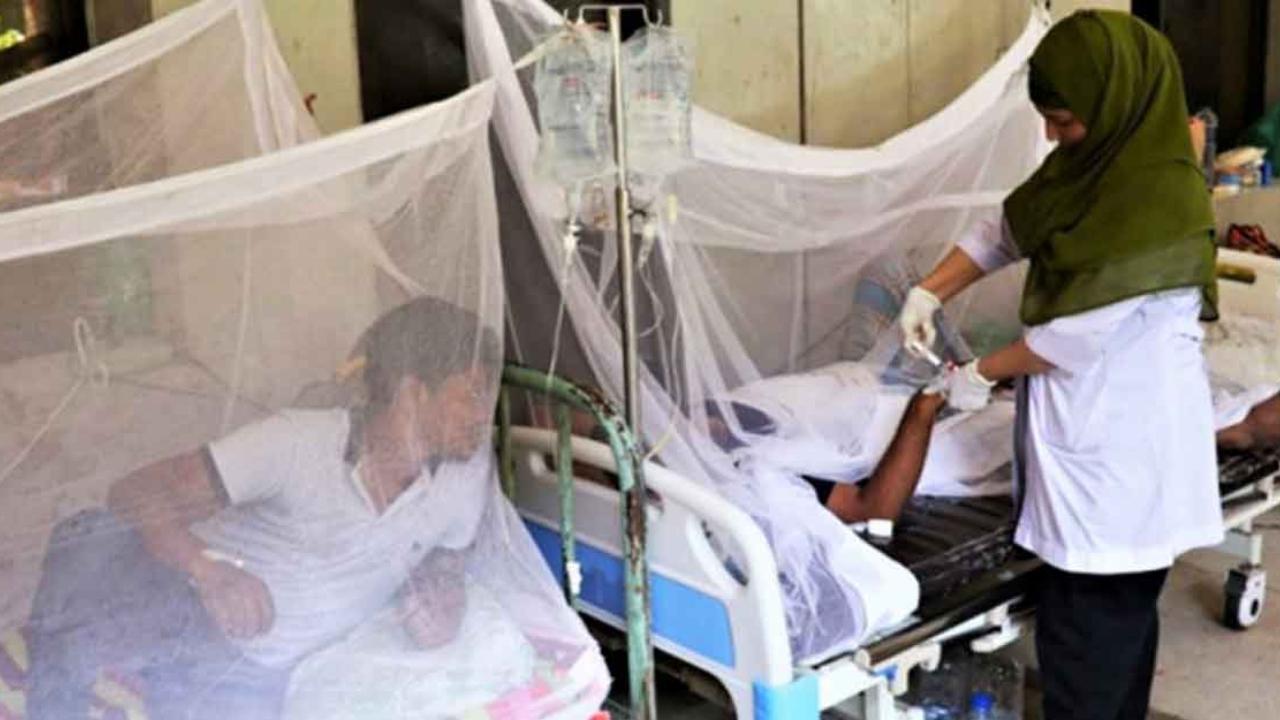 ২৪ ঘণ্টায় ৮৬ ডেঙ্গু রোগী হাসপাতালে ভর্তি