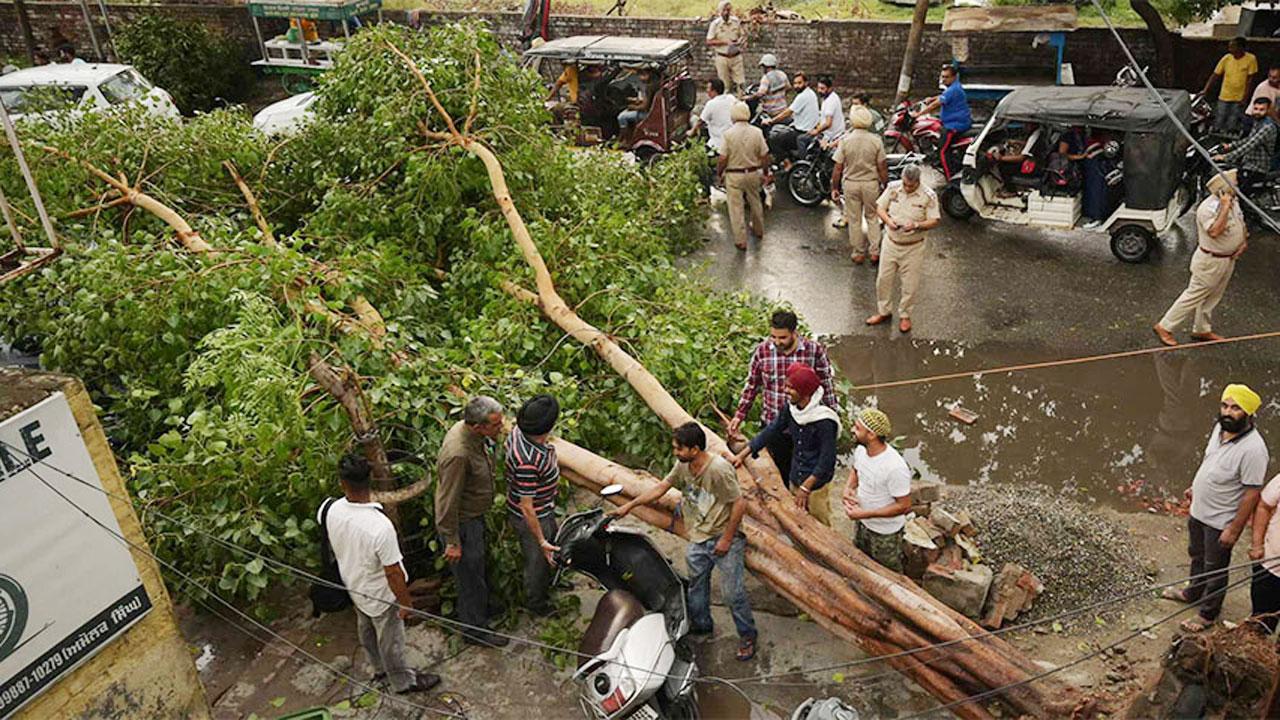 ঝড়-বৃষ্টি-বজ্রপাত : ভারতে একদিনে নিহত ৪৫