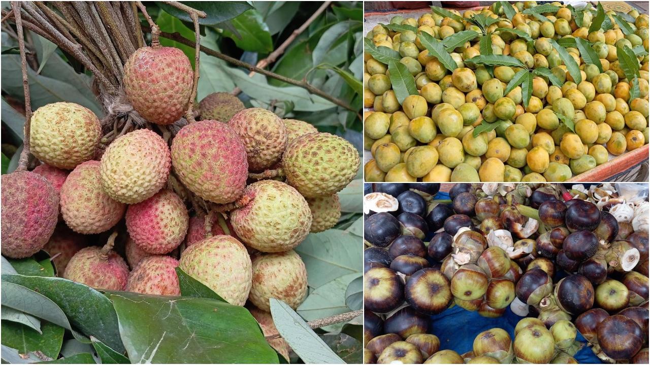 আম-লিচুর মৌসুম শুরু, রাজধানীর গলি-মহল্লায় তালের শাঁসের সমারোহ