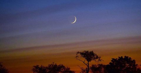 ঈদুল আজহা : সৌদি-আমিরাতে ঈদ কবে, জানা যাবে আজ