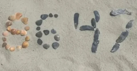 ‘৮৬৪৭’, রহস্যময় এই সংখ্যায় ট্রাম্পকে হত্যার ইঙ্গিত