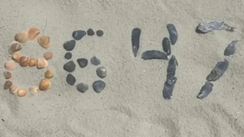 ‘৮৬৪৭’, রহস্যময় এই সংখ্যায় ট্রাম্পকে হত্যার ইঙ্গিত