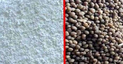 সৌদি ও ইউএই থেকে কেনা হবে ৭০ হাজার টন সার