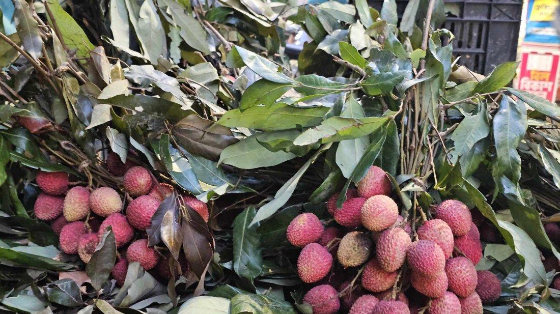 লিচু খাওয়ার ১০ উপকারিতা