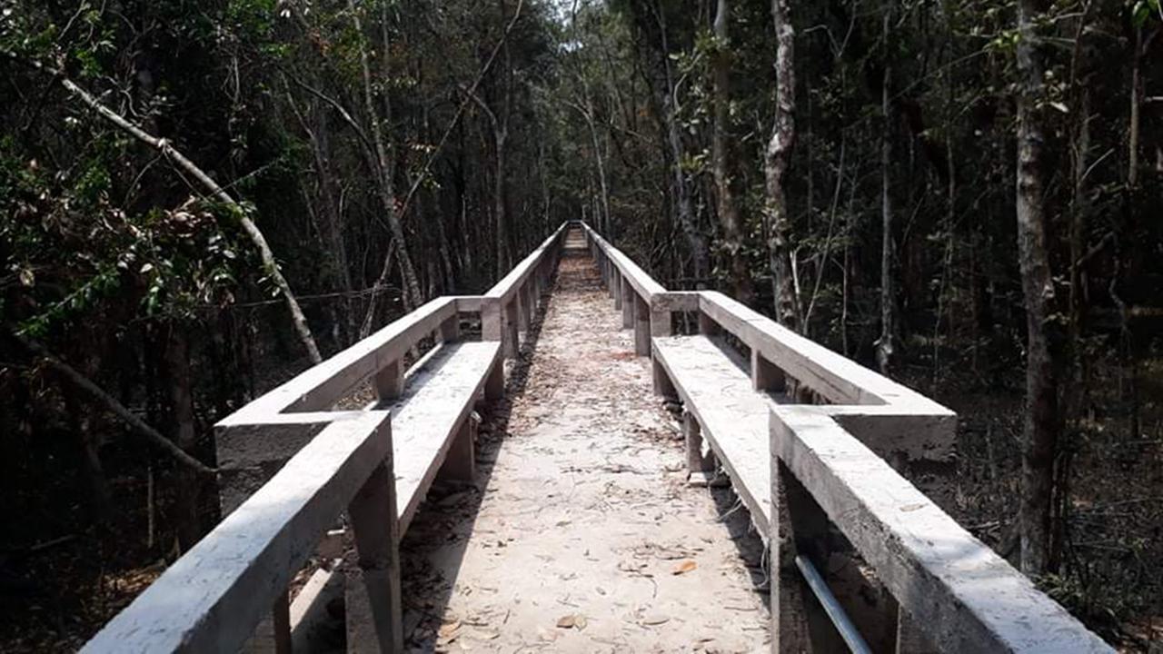 তিন মাসের জন্য বন্ধ সুন্দরবনের দ্বার