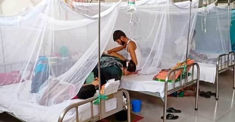 কুমিল্লায় ডেঙ্গুতে তিনজনের মৃত্যু