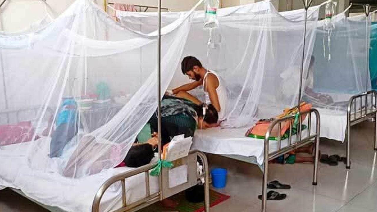 কুমিল্লায় ডেঙ্গুতে তিনজনের মৃত্যু