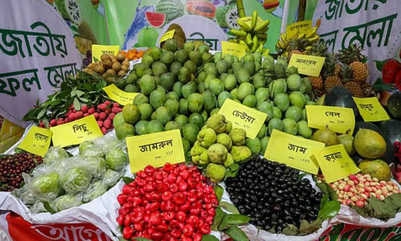 বৃহস্পতিবার শুরু হচ্ছে জাতীয় ফল মেলা