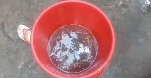 বালতির পানিতে পড়ে শিশুর মৃত্যু