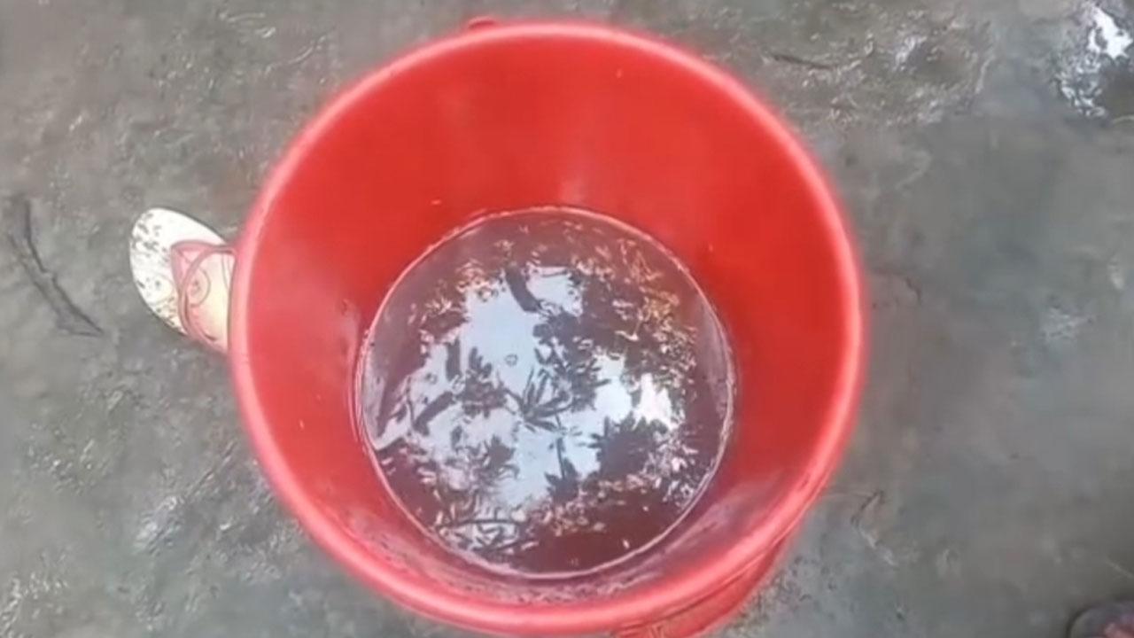 বালতির পানিতে পড়ে শিশুর মৃত্যু