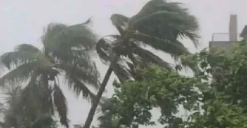 ৬০ কিলোমিটার বেগে ঝড় হতে পারে যেসব অঞ্চলে