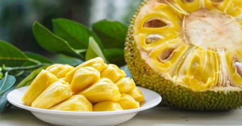 শরীর সুস্থ রাখতে কাঁঠালের উপকারিতা