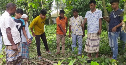 পঞ্চগড়ে কবর থেকে পাঁচটি কঙ্কাল চুরি