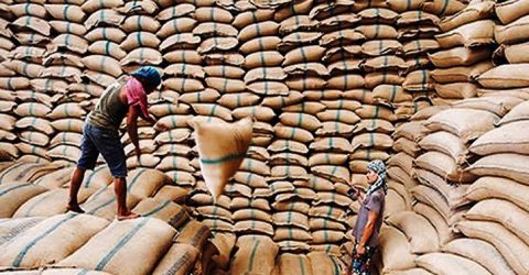 ভারত থেকে ৫০ হাজার টন চাল আসবে, ব্যয় কত?