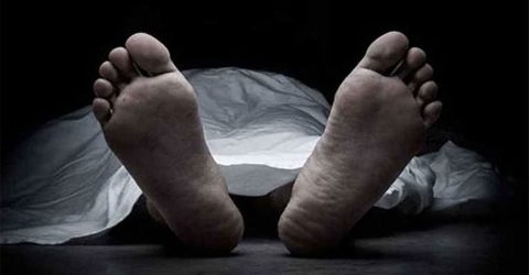 গাছ থেকে পড়ে প্রাণ গেল এক ব্যক্তির