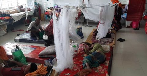 গত ২৪ ঘণ্টায় দেশে ডেঙ্গুতে মৃত্যু হয়েছে আরও ৩ জনের