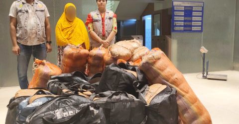 রাজধানীর উত্তরা এলাকা থেকে ২৮৫ কেজি গাঁজাসহ এক নারীকে গ্রেপ্তার করেছে ঢাকা মহানগর গোয়েন্দা পুলিশ (ডিবি)।