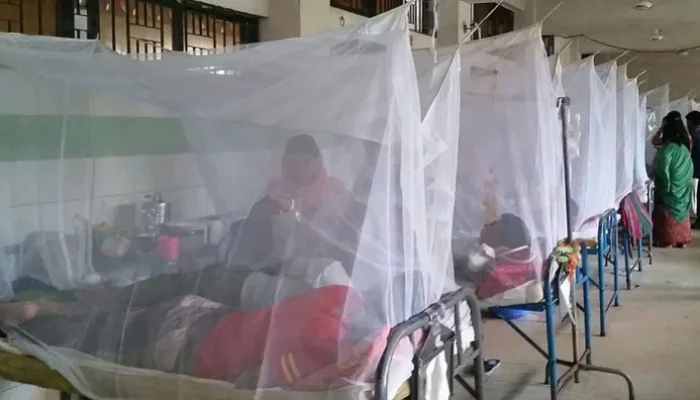 এ বছরে দেশে ডেঙ্গু রোগীর সংখ্যা ৭০ হাজারেরও বেশি !