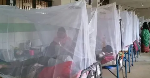 এ বছরে দেশে ডেঙ্গু রোগীর সংখ্যা ৭০ হাজারেরও বেশি !