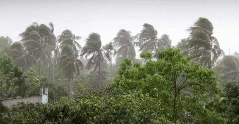 বজ্রসহ ঝড়বৃষ্টির আভাস, নদীবন্দরে সতর্ক সঙ্কেত