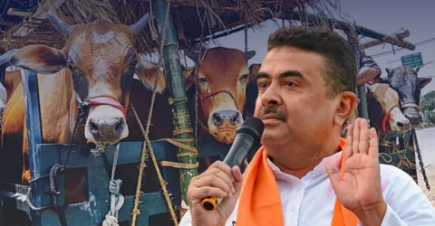 পশ্চিমবঙ্গে কোরবানির বাজারে হাহাকার, শিগগিরই সিদ্ধান্ত নেবেন শুভেন্দু