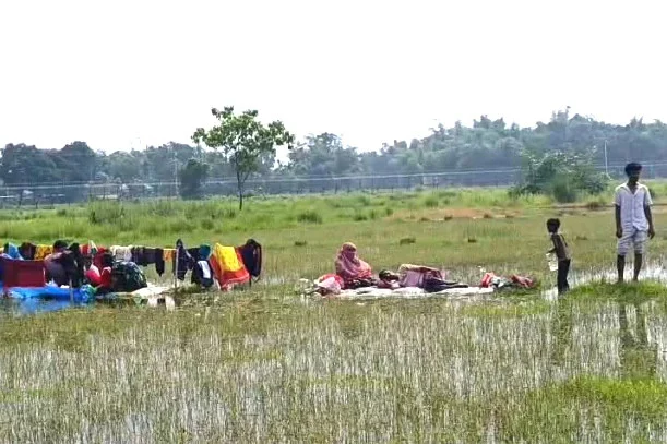 পঞ্চগড়ে সীমান্তের শূন্যরেখায় পুশইনের শিকার ১০ জনকে সরিয়ে নিয়েছে বিএসএফ