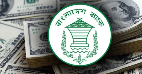 বাজেটের আগে রিজার্ভ কমলো