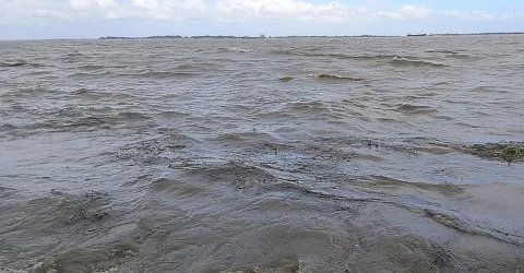 তিস্তাসহ চার নদীর পানি সতর্কসীমায় প্রবাহিত হচ্ছে