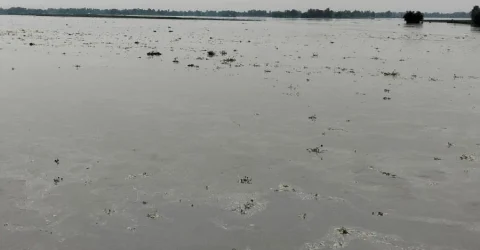 দুধকুমার নদের পানি বিপৎসীমার ১৬ সেন্টিমিটার ওপরে, সৃষ্টি হতে বন্যা পরিস্থিতি