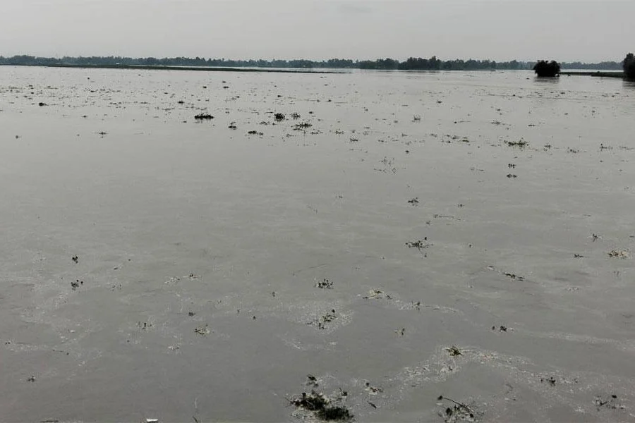 দুধকুমার নদের পানি বিপৎসীমার ১৬ সেন্টিমিটার ওপরে, সৃষ্টি হতে বন্যা পরিস্থিতি